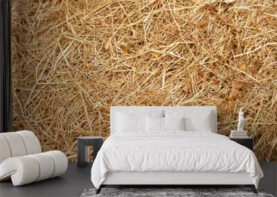 Dry yellow straw grass background texture Wall mural