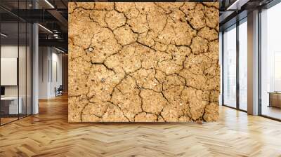 soil drought cracked texture Wall mural