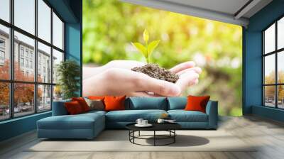 Teen hands planting the seedlings into the soil over nature background and sunlight. Farmer holding Young plant, new life growth. Ecology, money saving, development or business concept. Wall mural