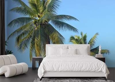 coconut tree tropical plant in clear blue sky Wall mural