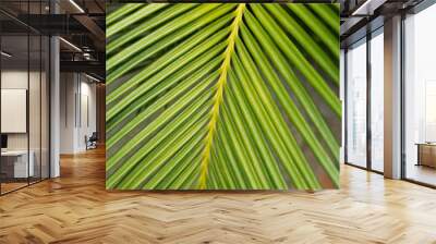 green leaf natural background Wall mural