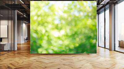 green nature blur bokeh background Wall mural