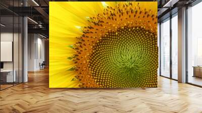 macro image of flower, beautiful sunflower blossom blooming in nature Wall mural