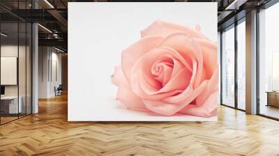 single beauty flower rose gold color blossom with heart shape isolated on white background Wall mural