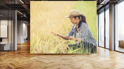 asia woman farmer sitting use tablet at the gold rice field to takes care of her rice. young own business start up farm. communication network on computer technology internet of things. Wall mural