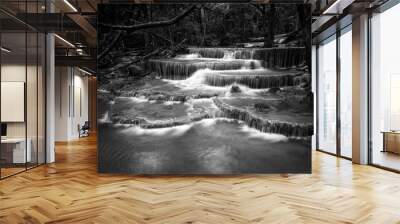 black and white waterfall nature season spring in forest Wall mural