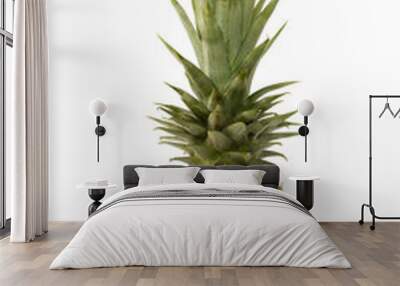 Pineapple on white background. Tropical fruit. Wall mural