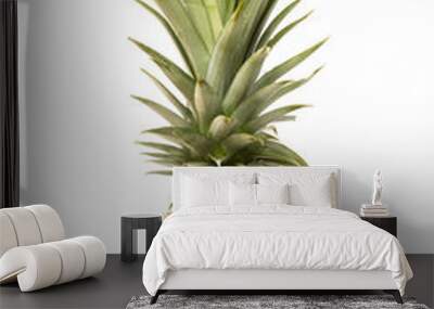 Pineapple on white background. Wall mural