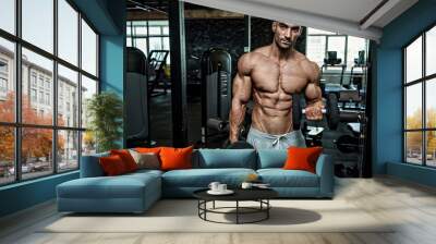 Young handsome sportsman bodybuilder weightlifter with an ideal body, after coaching poses in front of the camera, abdominal muscles, biceps triceps. In sportswear. Wall mural