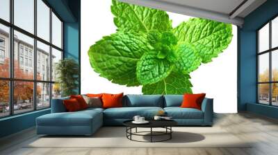 Close-up image of fresh green mint leaves, isolated on a transparent background. Wall mural