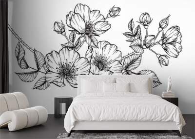 Rosa canina flower drawing. Wall mural