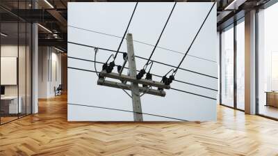 high voltage pole Wall mural