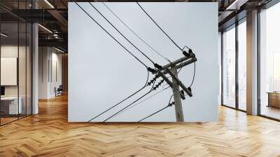 high voltage pole Wall mural