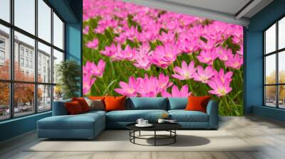 Field of little pink flowers. Wall mural