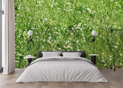 Green leaves background Wall mural