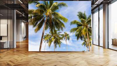 Coconut tree with a background of sky and clouds in the summer. Wall mural