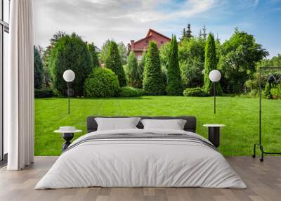 Freshly cut grass in the backyard of a private house. Wall mural