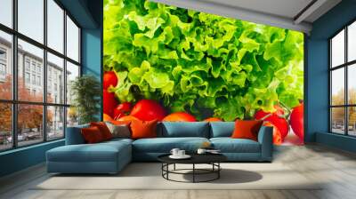 Lettuce Salad And Tomatoes. High quality photo. Wall mural