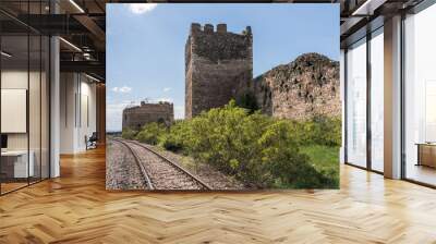 The remains  of the fortress wall and the clock tower in the ruins of the Smederevo fortress, standing on the banks of the Danube River in Smederevo town in Serbia. Wall mural