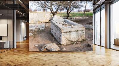 The remains  of the sarcophagus on the ruins of the destroyed Roman temple, located in the fortified city in the territory of the Naftali tribe in Tel Kadesh in the north of Israel Wall mural