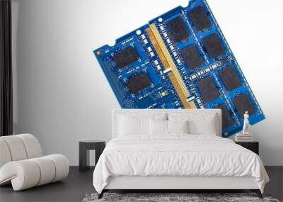 Two blue computer memory cards isolated on a white background. Wall mural