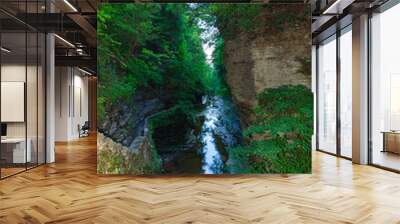 A green planted canyon with a small river, lush rocks and dense forest, creating a peaceful and mysterious atmosphere, , Watkins Glen State Park, Pennsylvania Wall mural