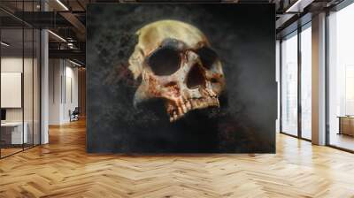 Skull of a dead man in on the ground Wall mural