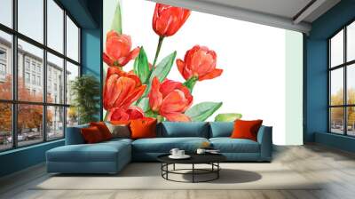 Pattern of tulips.Watercolor image on a white and color background. Wall mural