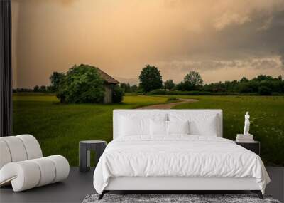 Meadow with path in the Allgäu before a thunderstorm Wall mural