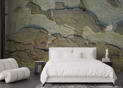 rinde 2 Wall mural