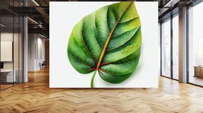 green leaf isolated on white background, tilting to right, natural shape, ai art Wall mural