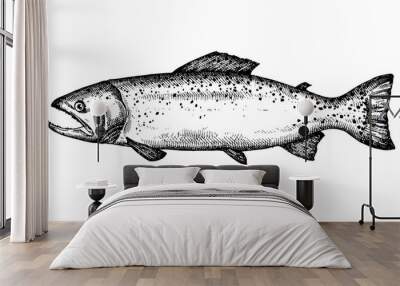 Hand drawn salmon Fish vector illustration Wall mural