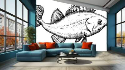 Hand drawn vector Fish. Black and white seabass illustration Wall mural