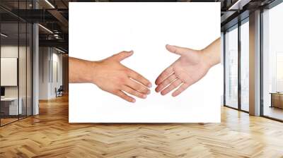 shaking hands of two male people isolated Wall mural