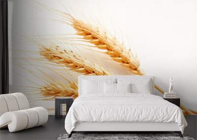 Wheat ears isolated on a white Wall mural