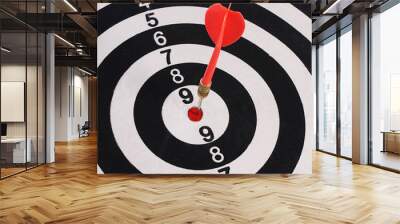 Darts on a black background Wall mural