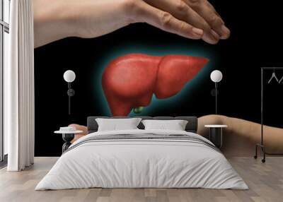 A human liver between two palms of a woman on black isolated background. The concept of a healthy liver. Wall mural