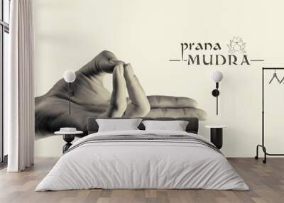 B/W image of woman hand in prana mudra. Gesture is  isolated on  toned background. Wall mural