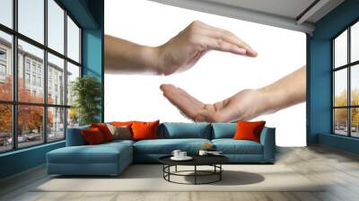 isolated image of two hands facing each other as a symbol of protection and insurance Wall mural