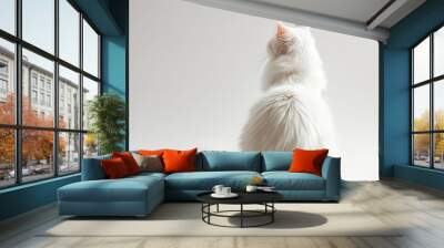 White Maine Coon cat sitting backwards on a light background Wall mural