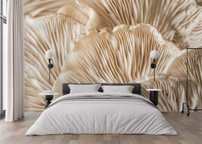 A closeup of the edge and texture of an oyster mushroom, showcasing its unique patterned edges in neutral tones. The soft cream background highlights details. Soft natural light, macro Wall mural