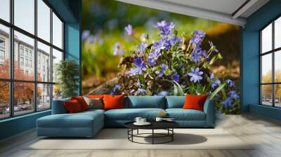 Blue fresh flowers growing in the natural forest. Picture for the illustration of blooming, spring, freshness, blue flowers. Wall mural