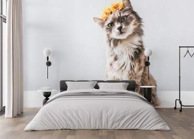 Charming, fluffy kitten with yellow flowers on a white background. Isolated, close-up Wall mural