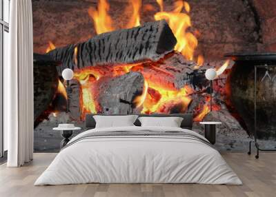 fire in a fireplace Wall mural