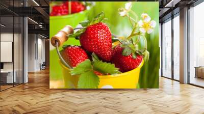 Fresh strawberries Wall mural