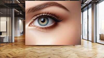 Closeup view of female eyes. Make up beauty eye. A makeup and beauty concept. Wall mural