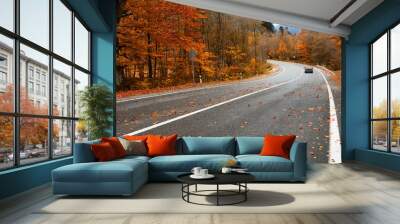 Autumn road in forest Wall mural