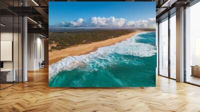 ocean shore with waves crashing on sandy beach surrounded by dense grove Wall mural