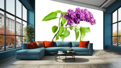 Purple lilac isolated on white background Wall mural