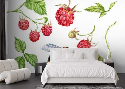 Raspberry. watercolor botanical illustration of raspberry berries and leaves. bee Wall mural